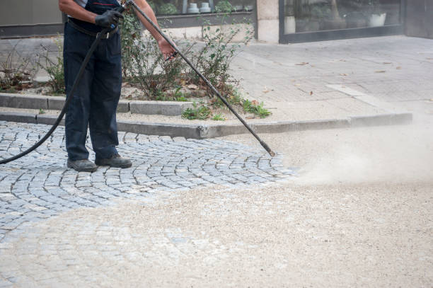 Best Driveway Pressure Washing  in Temple City, CA